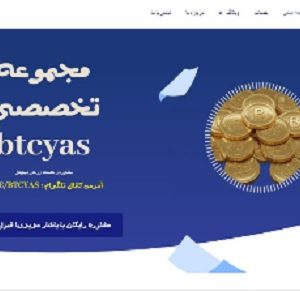 سایت آماده و سئو شده مربوط به ارز دیجیتال و مشاوره